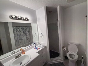 A modern bathroom with a large mirror, a sink, a shower enclosure, and a toilet. - 2 bedroom furnished townhome, washer & dryer, Central Air, Wifi & New appliances (Atlanta)