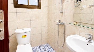 A bathroom with a toilet, a shower, a sink, and a mirror.