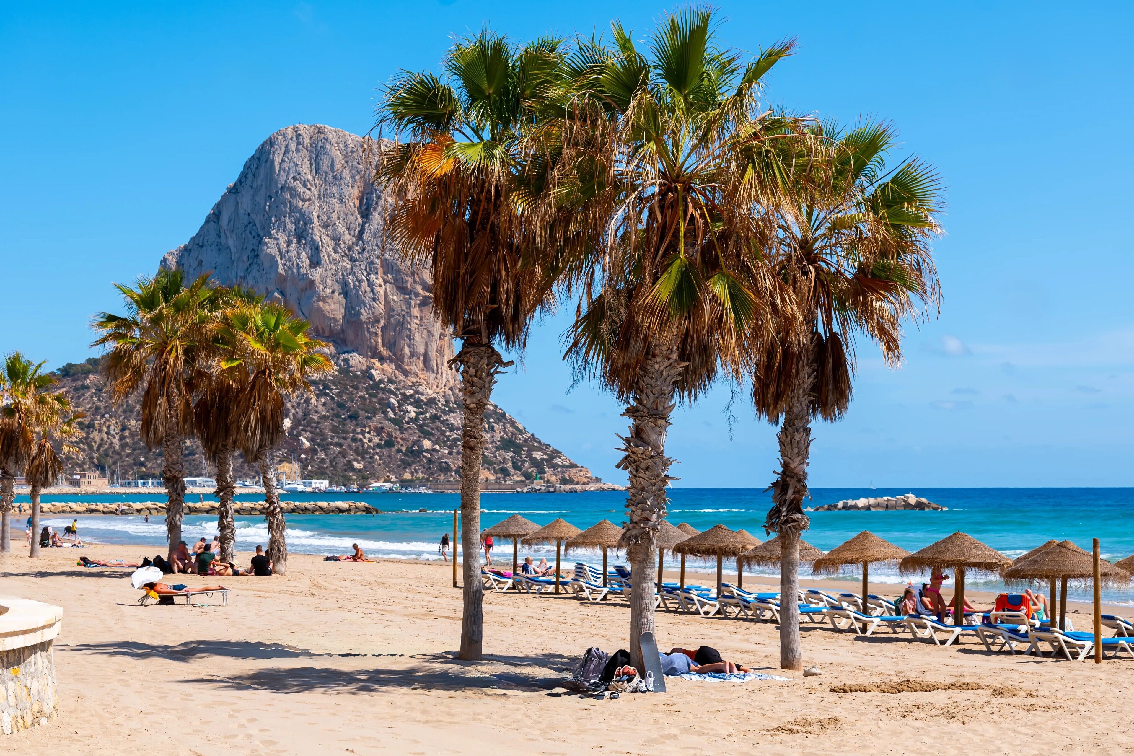 A beach with palm trees, lounge chairs, and a rocky mountain in the background.