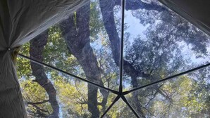 A tent with a view of trees through its window. - Domos Palguin (Palguin Alto)