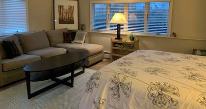 Sunny Modern 3 bedroom House Walk to Beach and Town