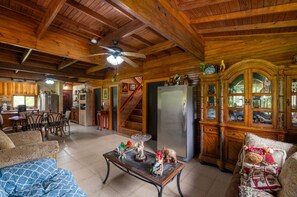 Living area - A country estate surrounded by nature with the best climate, just 2 minutes from the main road (El Valle de Antón)