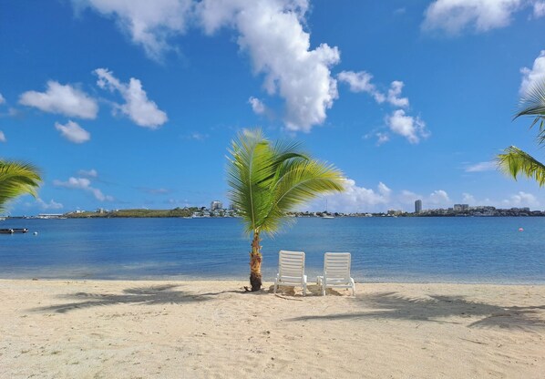 Ein Strand mit einer Palme, zwei weißen Liegestühlen und blauem Himmel.