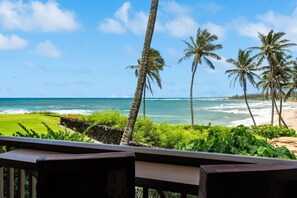 A view of a beach with palm trees and ocean waves.