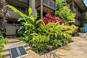 A hotel courtyard with a stone patio, lush tropical plants, and outdoor seating. - Oceanfront Paradise / New Renovated W/ AC & Pool (Kapaʻa)