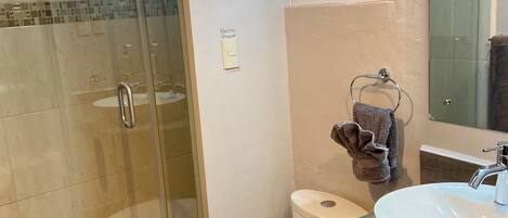 A bathroom with a glass-enclosed shower, a toilet, a sink, and a mirror.