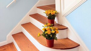A staircase with white balusters and wooden steps, flanked by two potted yellow flowers. - Green Little Havana (Miami)