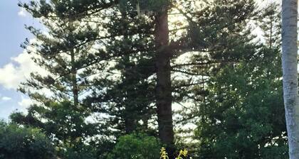 Mera Norfolk Island