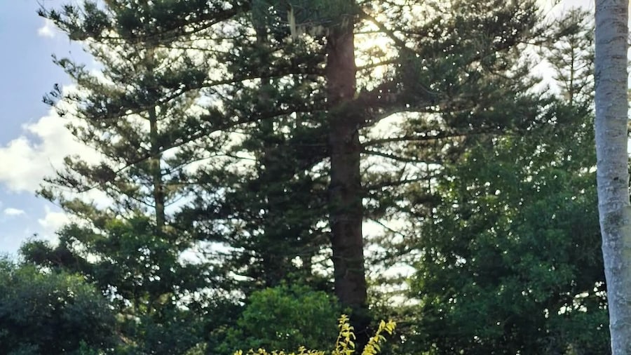 Mera Norfolk Island