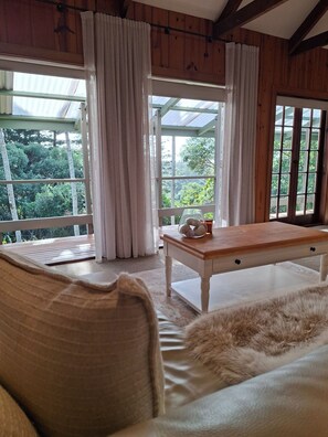 A cozy room with a wooden ceiling, a cushioned sofa, a wooden table with a glass of drink, and a view of greenery outside.