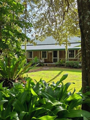 A house with a front yard, a porch, and a large tree in the foreground.