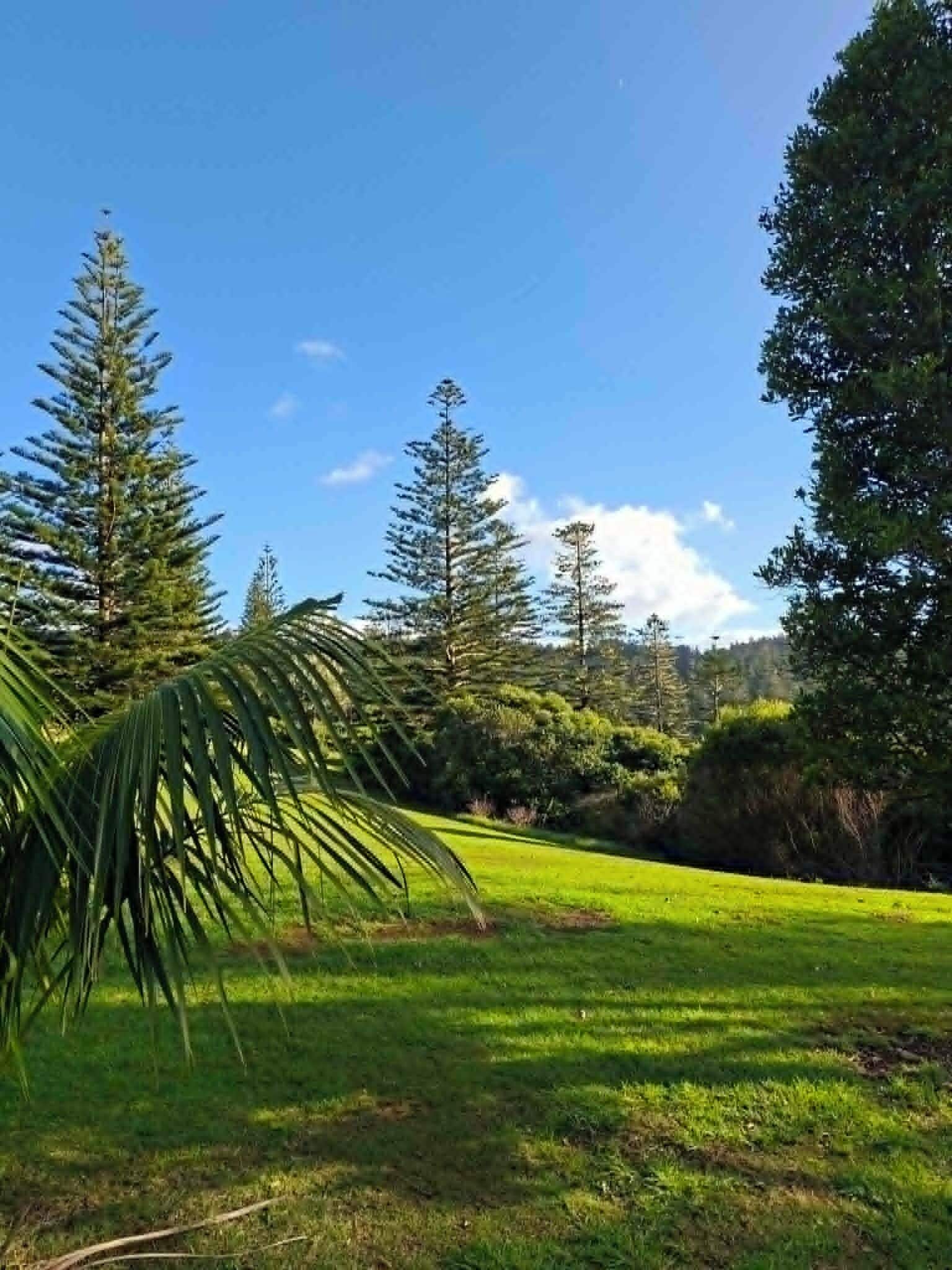 Deluxe Cottage, Mountain View | Property grounds