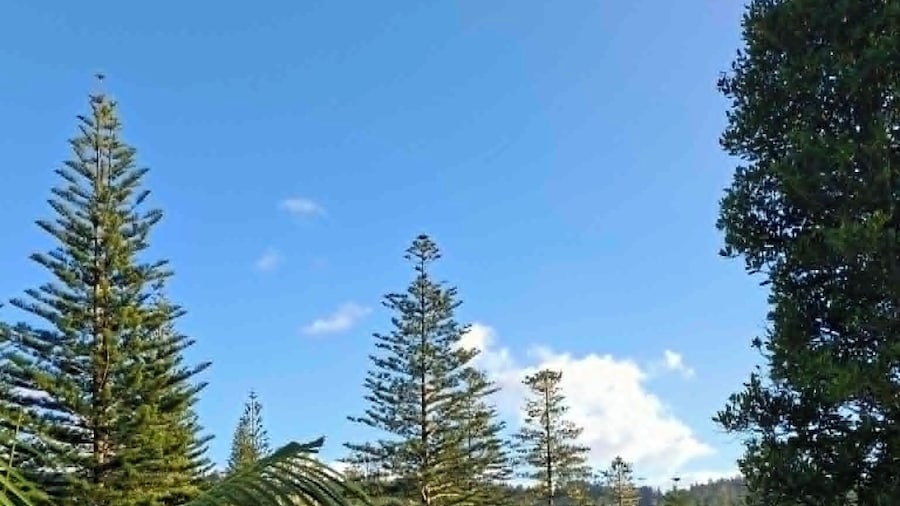 Mera Norfolk Island