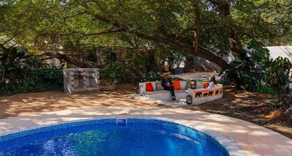 Cosmo Guest House