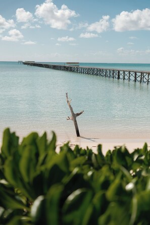 Una playa con un muelle de madera que se adentra en el agua, un solo árbol en la orilla y abundante follaje verde en primer plano.
