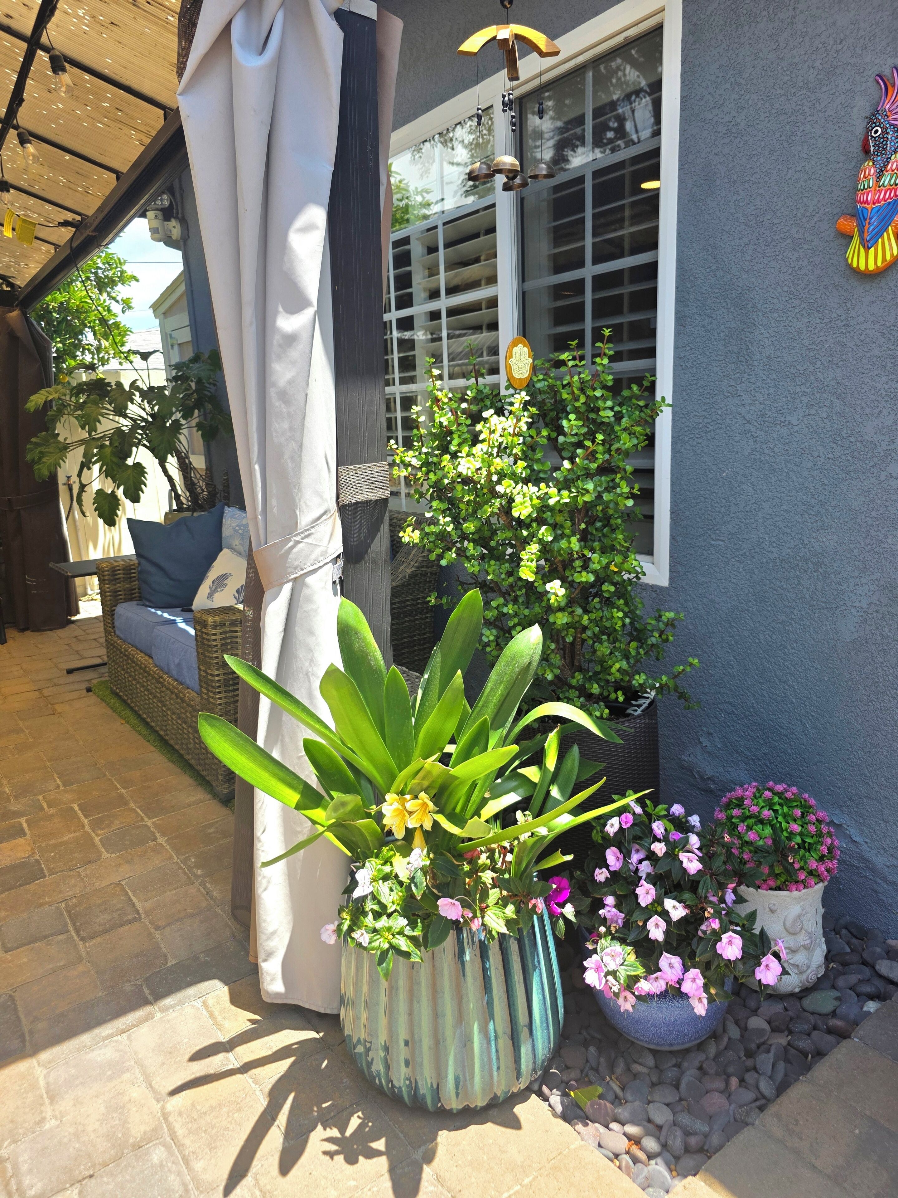 Ein überdachter Außenbereich mit Rattan-Sofa und einem Blumentopf mit gelben Blüten.