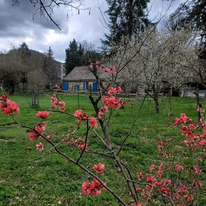 A rural setting with a house in the background, surrounded by green fields and trees. - La Bergerie de Louisa (sleeps 4–5) (MARVEJOLS)