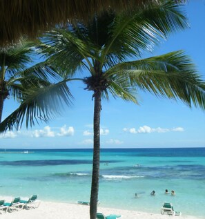 A beach with clear turquoise water, palm trees, and lounge chairs. - COSTA DE LUXE (Bayahíbe)