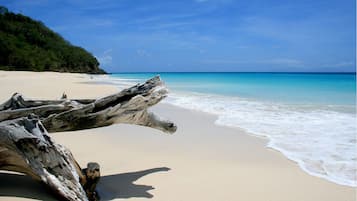 A beach with clear turquoise water, a sandy shore, and driftwood.