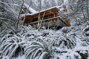 Una cabaña de troncos rodeada de helechos y árboles cubiertos de nieve.