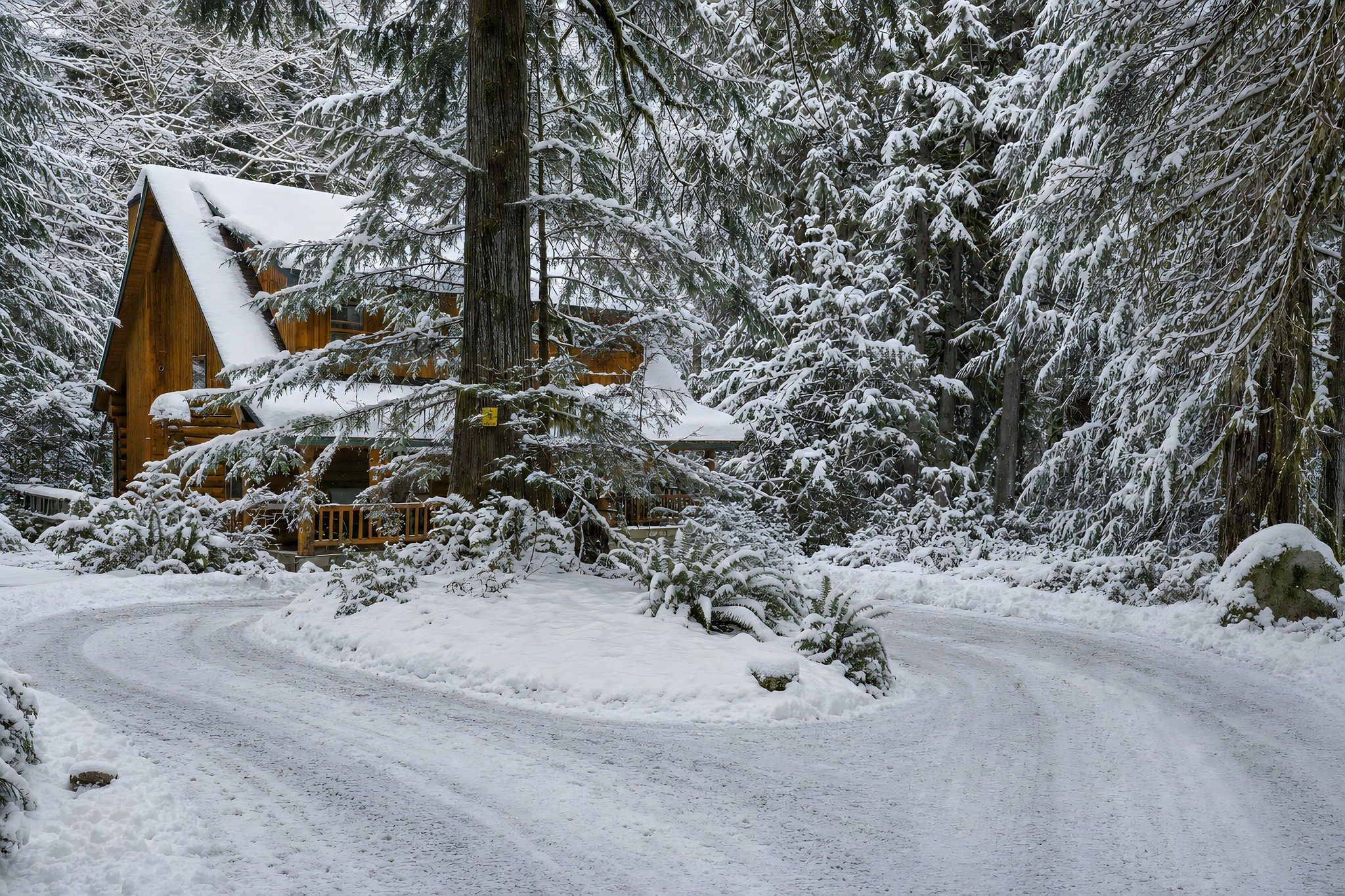 A wooden cabin surrounded by snow-covered trees.