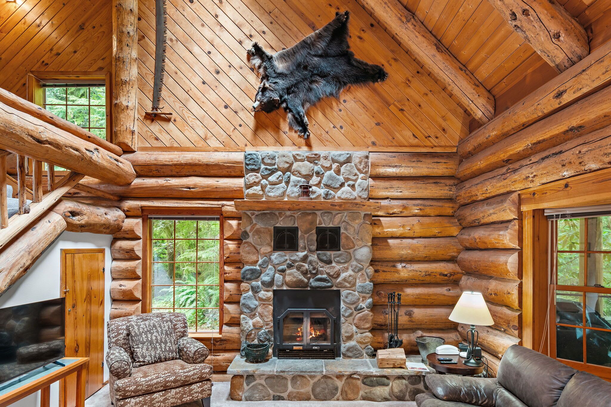 TV, fireplace, DVD player