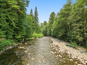 A river flowing through a forested area with rocks on the banks.