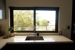 A kitchen with a large window, a sink, and a potted plant. - Pura Vida - Tamarindo (Tamarindo)