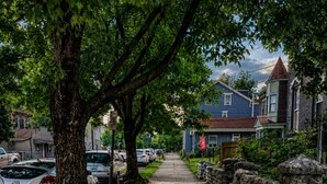 A tree-lined residential street with parked cars and houses. - A Grand Historic Retreat-Downtown Covington-Sleeps 3 (Covington)