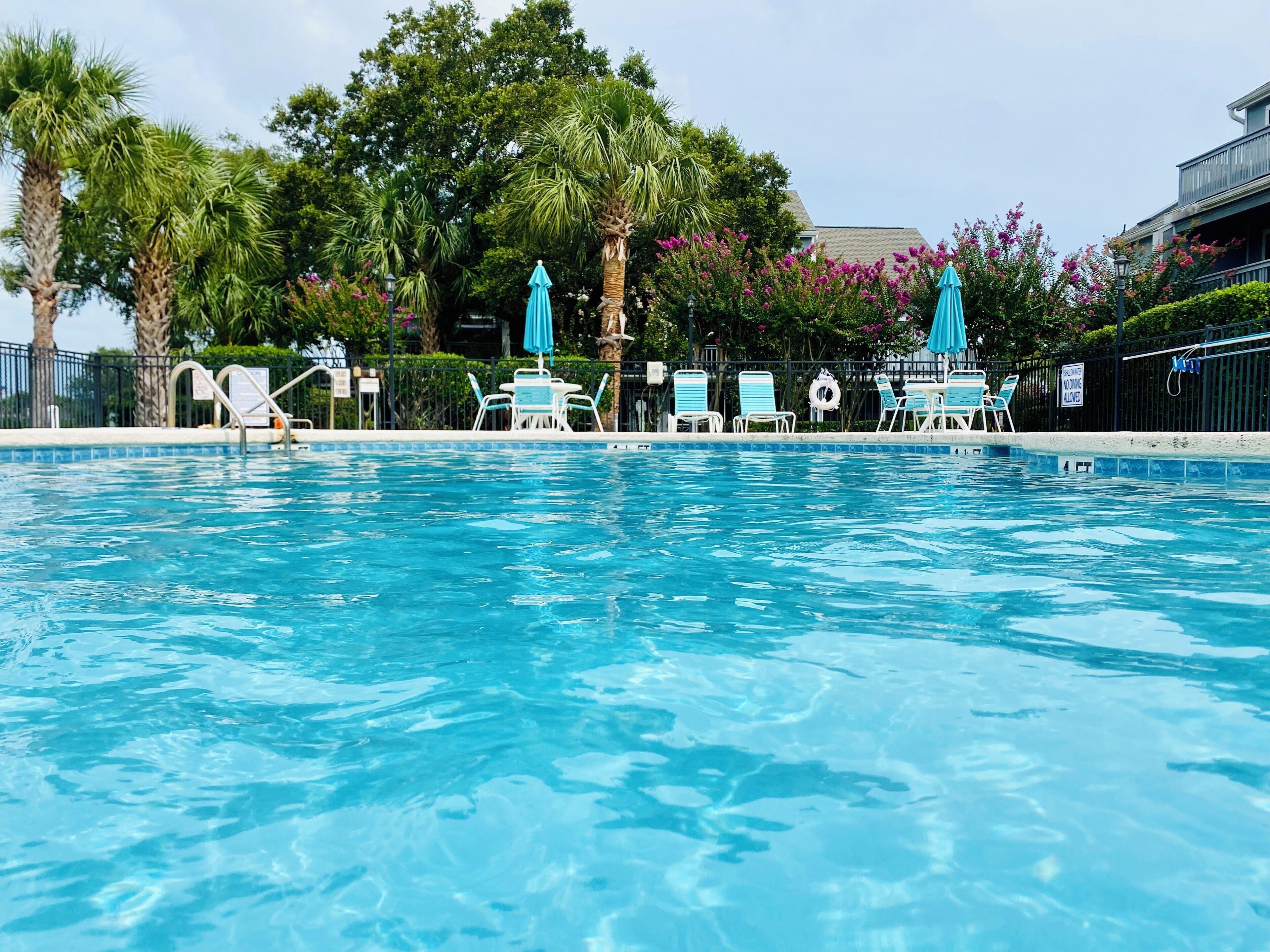 A swimming pool with lounge chairs and umbrellas, surrounded by palm trees and flowering bushes.