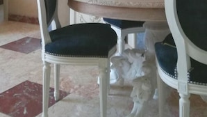 Un comedor con piso de mármol, una mesa blanca y una silla tapizada oscura, además de un espejo decorativo sobre la mesa.