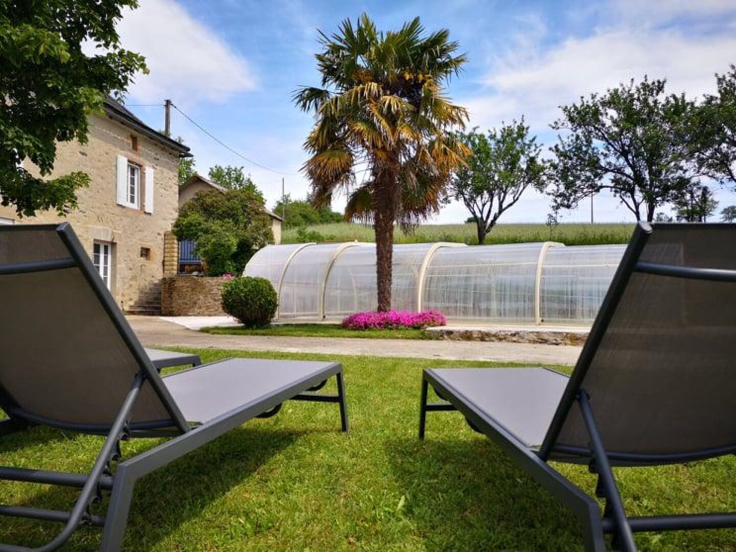 A garden with two lounge chairs, a house, and a greenhouse structure.