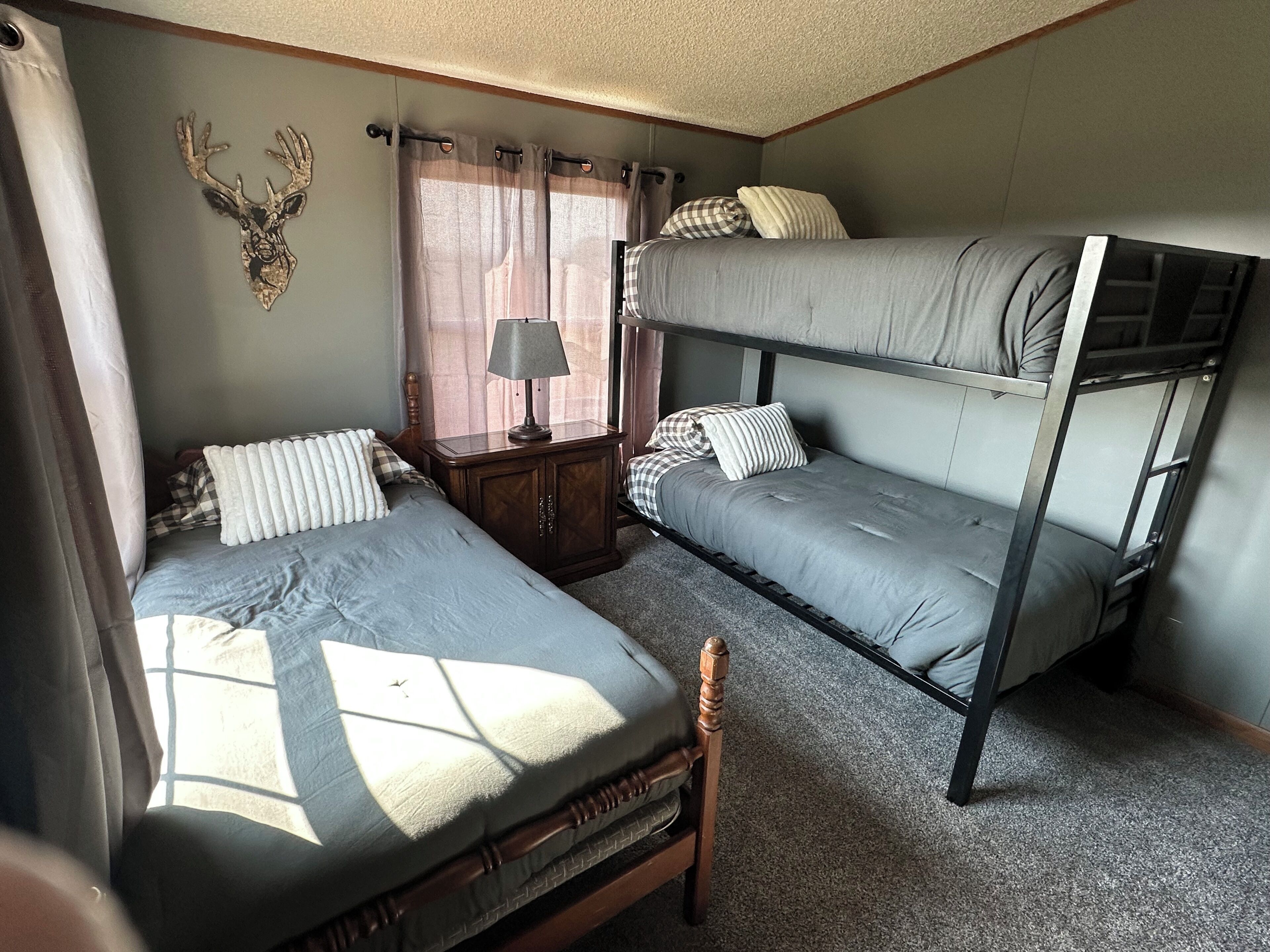 A dormitory room with bunk beds, a wooden nightstand, a lamp, and a deer head decoration on the wall.