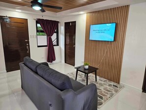 Un salon moderne avec un canapé, un téléviseur fixé au mur et une petite table sur laquelle est posée une plante.