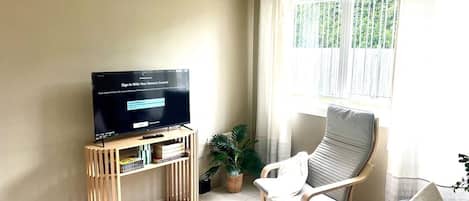 Fernseher, Bücher