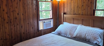 NEW! 3Br Retro-style Cabin on KY Lake waterfront