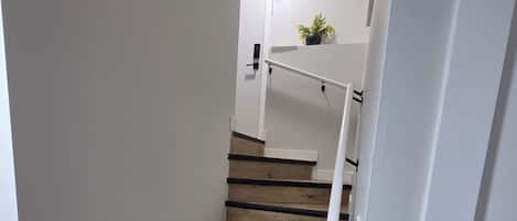 A staircase with wooden steps and white handrails, leading to a landing with a door and a small plant.