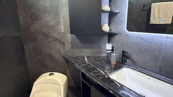 A modern bathroom with a toilet, a sink, and a mirror.