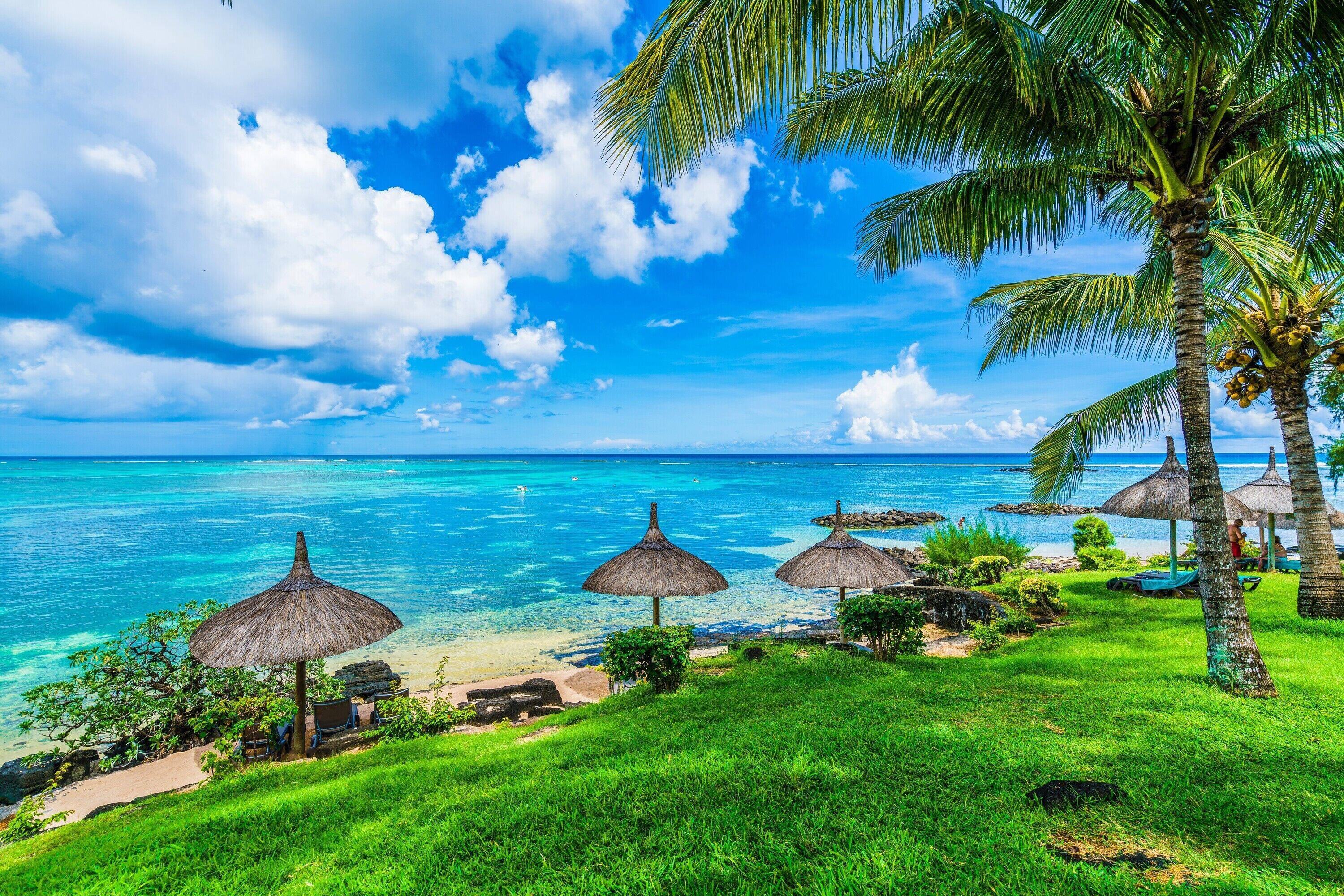 En tropisk strand med krystalklart turkis vand, palmer og stråparasoller.