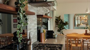 Une cuisine moderne avec une cuisinière à gaz, des armoires en bois et une plante suspendue.