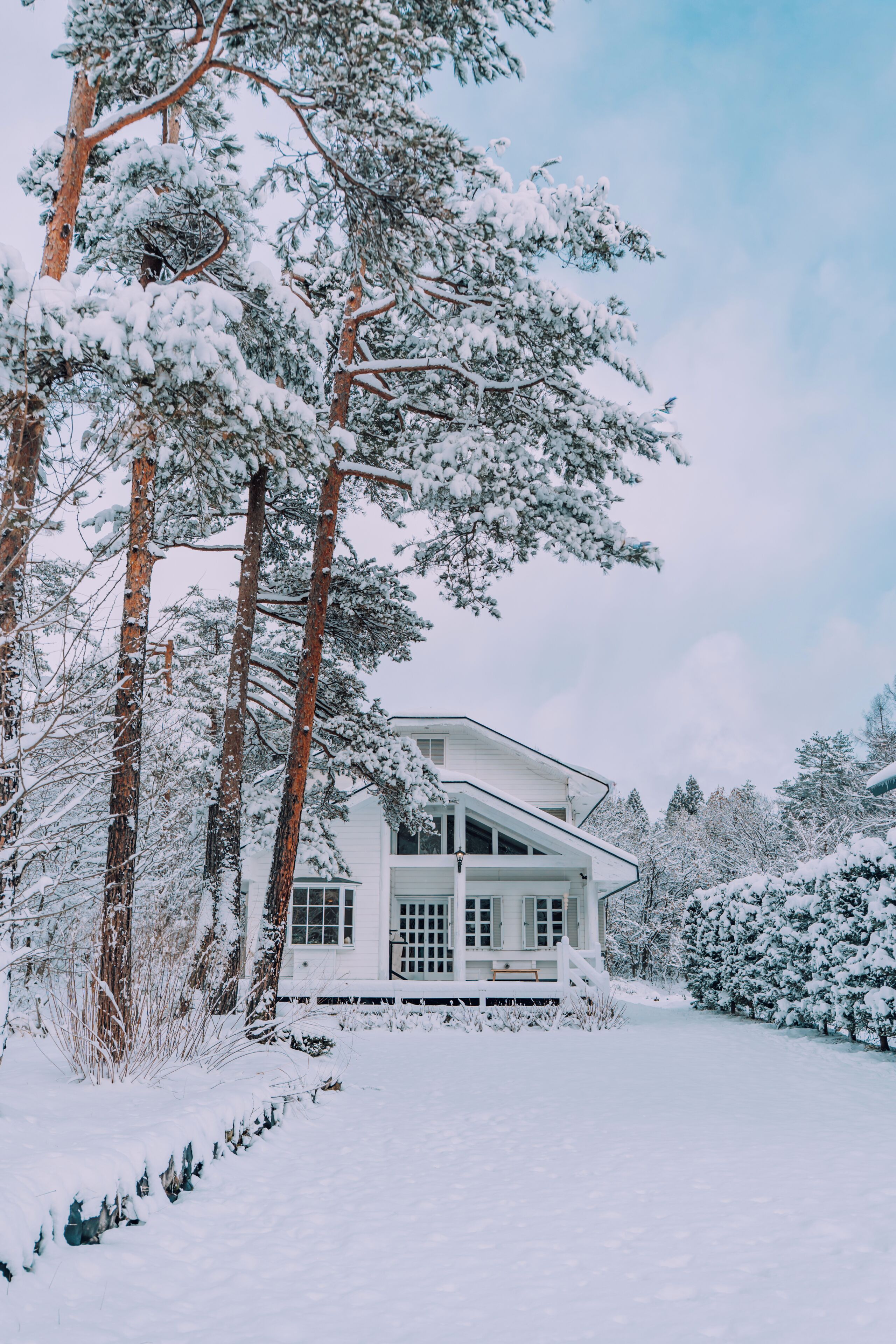 A white house surrounded by snow-covered trees.