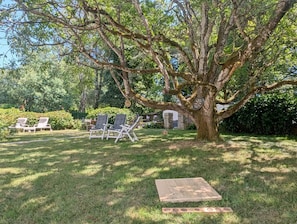 Ein Baum mit Dartscheibe, zwei Liegestühlen und einem kleinen Tisch in einer grünen Außenanlage.