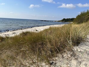 Ein Strand mit Sand und Gras im Vordergrund, einem klaren Himmel und ruhiger See.