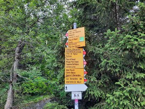 Ein Wegweiser mit mehreren Pfeilen, die zu verschiedenen Zielen zeigen.