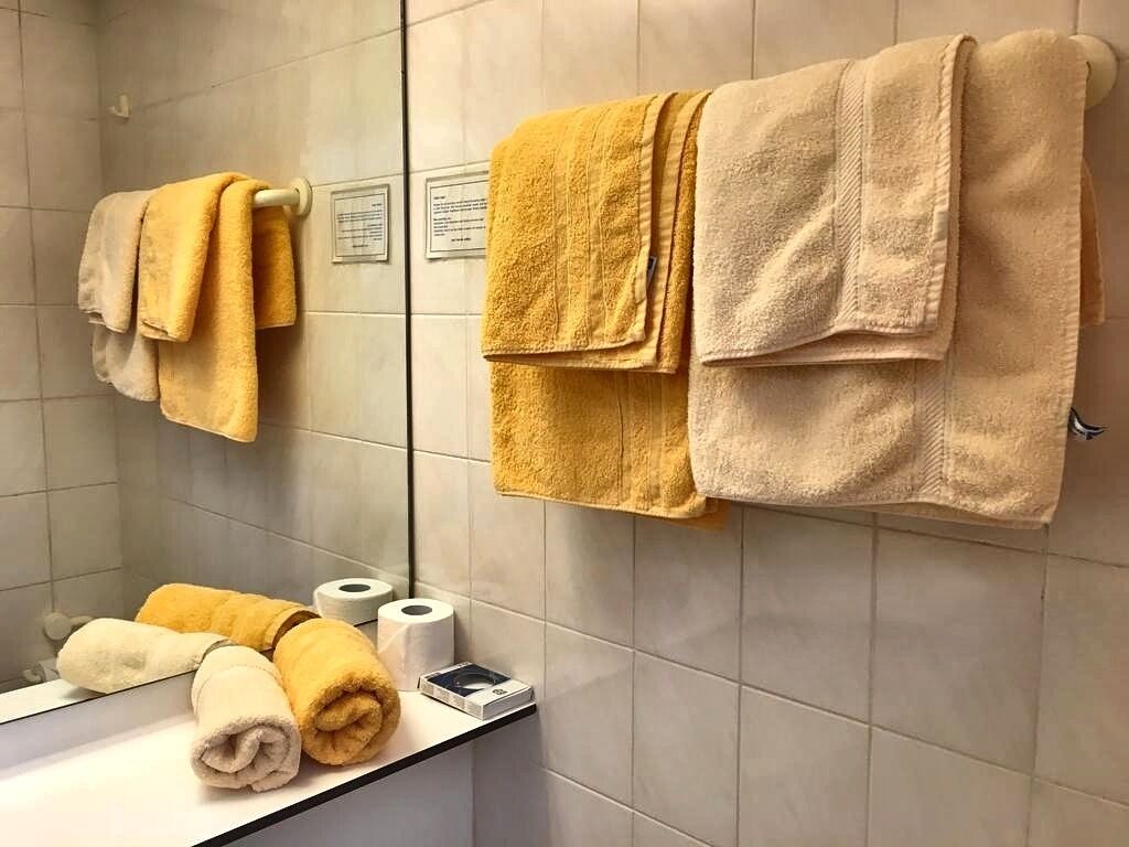Shower, towels, toilet paper
