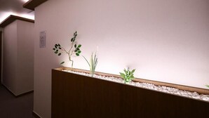 Una zona de recepción con mostrador de madera, pared blanca y arreglos de plantas.