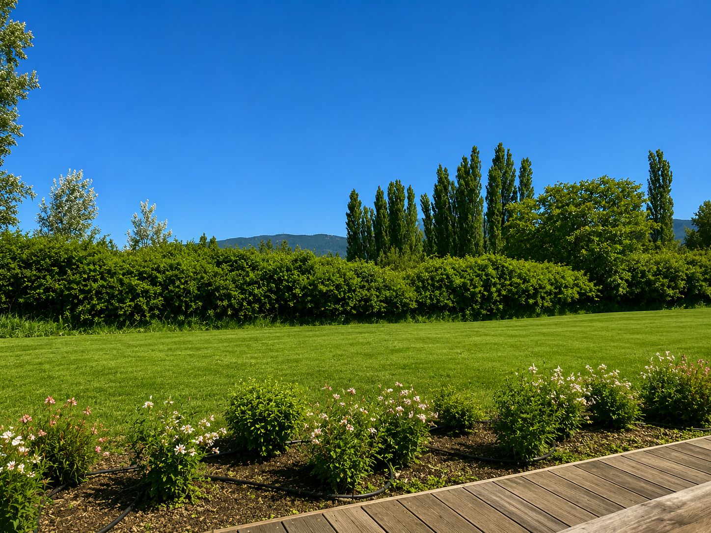 Une zone herbeuse bien entretenue, agrémentée d’une terrasse en bois, entourée d’arbustes denses et de grands arbres.