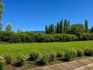 A well-maintained grassy area with a wooden deck, surrounded by dense shrubbery and tall trees.