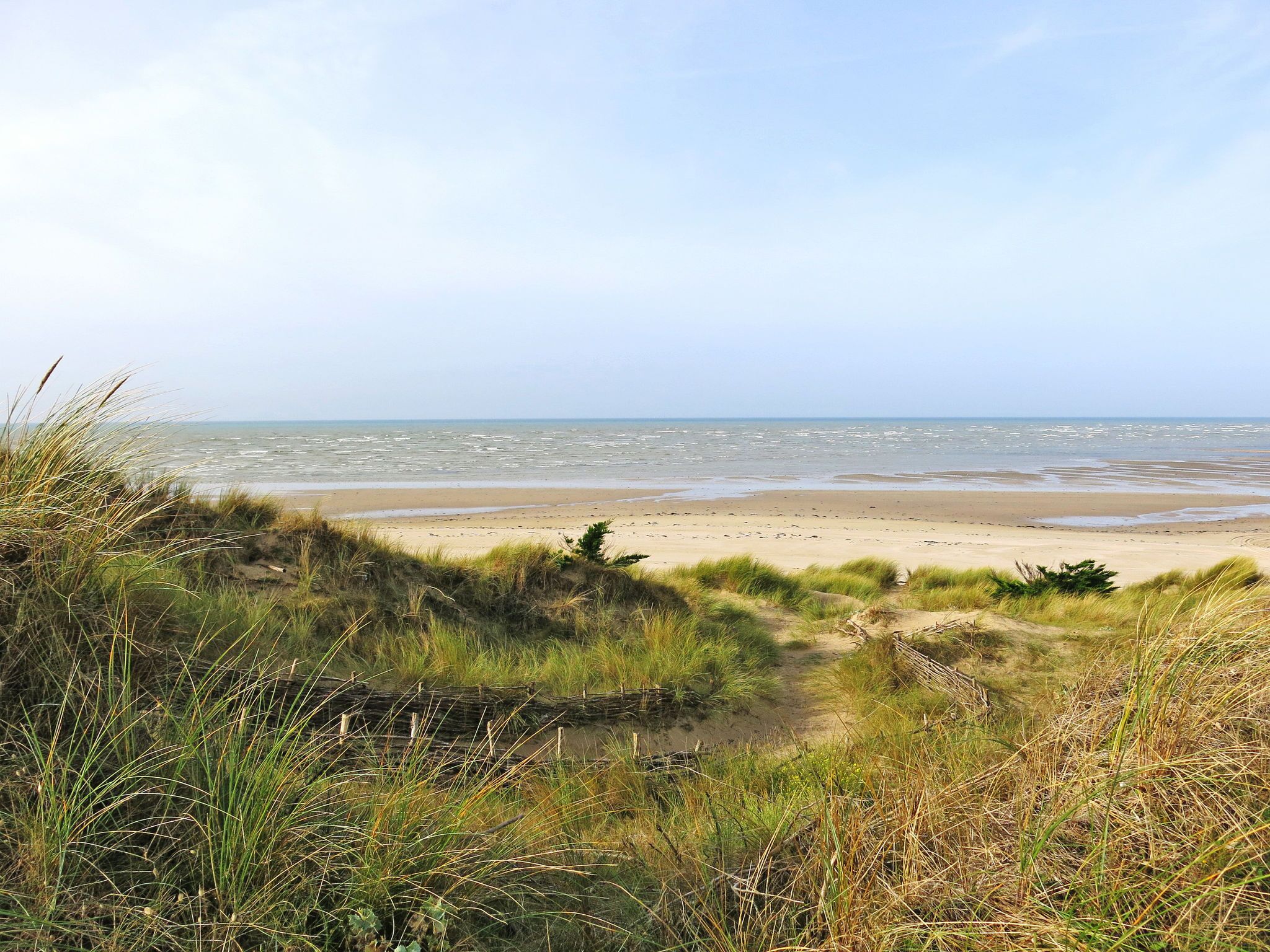 Une plage avec des dunes de sable et de l’herbe au premier plan, qui s’étend jusqu’à l’océan.