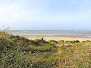 Een strand met duinen en gras op de voorgrond, dat uitloopt in de oceaan.